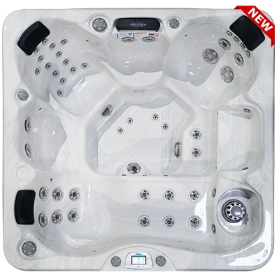 Avalon-X EC-849LX hot tubs for sale in West Allis